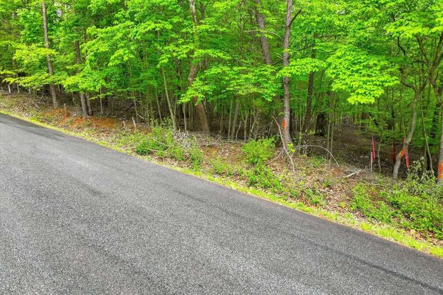 Lot 60 Old Barn RD, Moneta, VA 24121