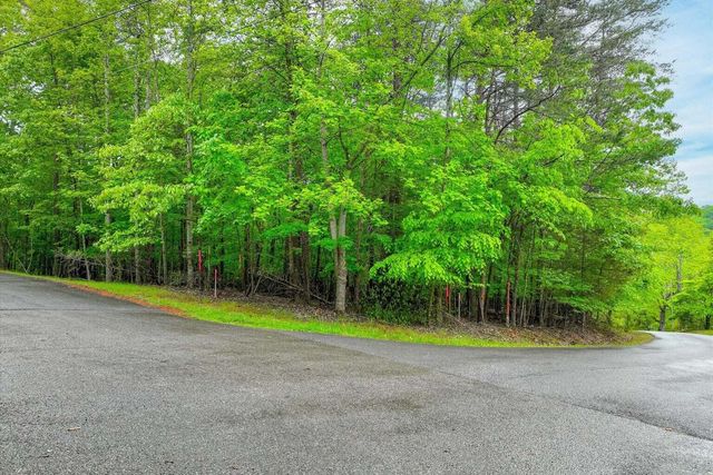 Lot 60 Old Barn RD, Moneta, VA 24121