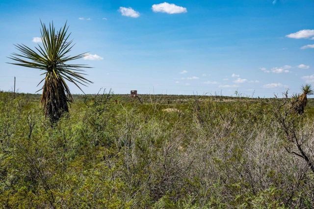 1,877 Acres Highway-67, Fort Stockton, TX 79735