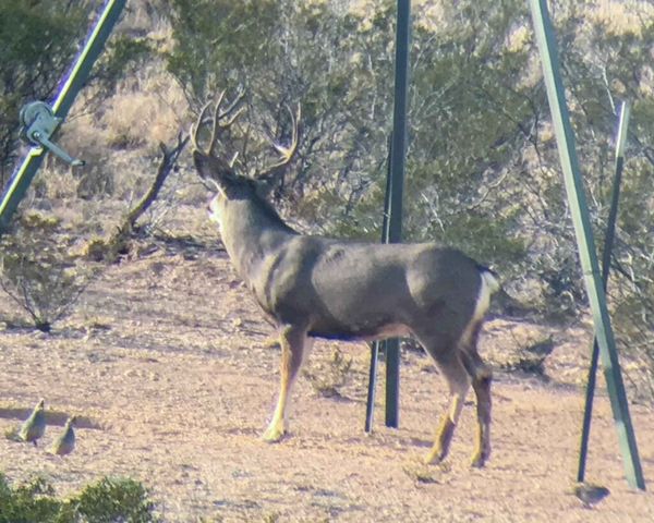 1,877 Acres Highway-67, Fort Stockton, TX 79735