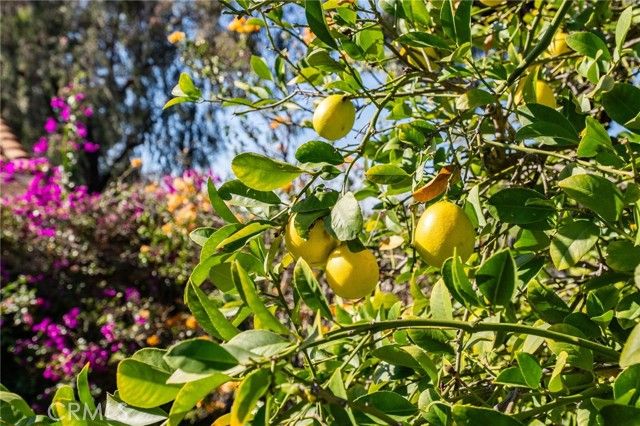 30006 Corte Cantera, Temecula, CA 92591