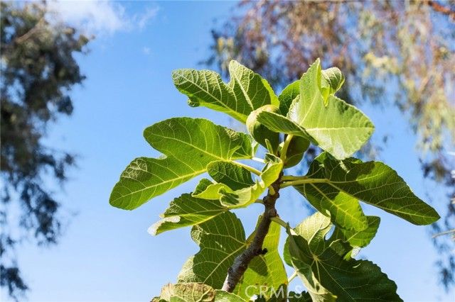 30006 Corte Cantera, Temecula, CA 92591