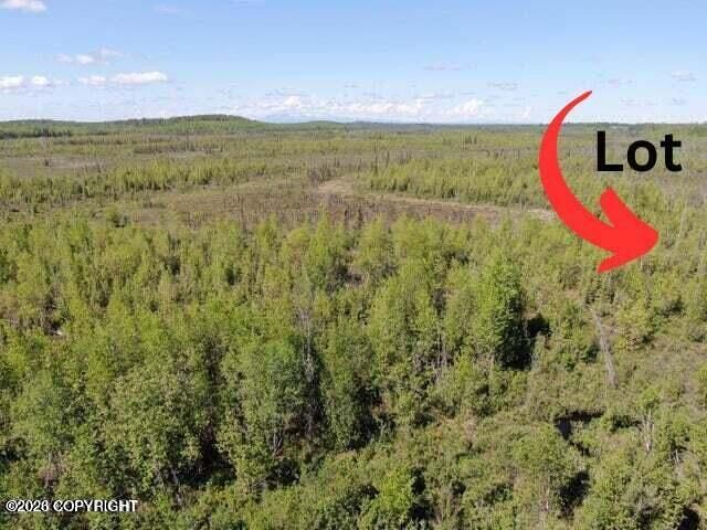 2466 S Johnsons Road, Wasilla, AK 99654