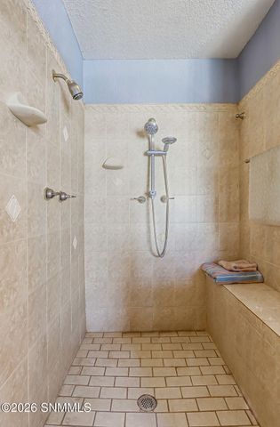 4107 Sotol Drive, Las Cruces, NM 88011