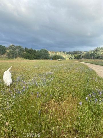 1575 Parkhill Road, Santa Margarita, CA 93453