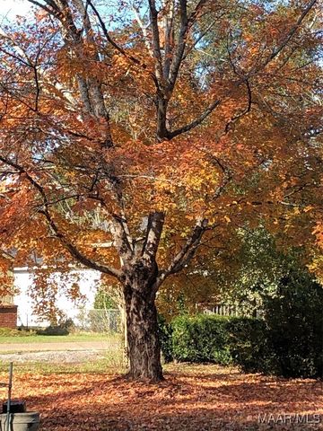 108 Sewell Street, Selma, AL 36701