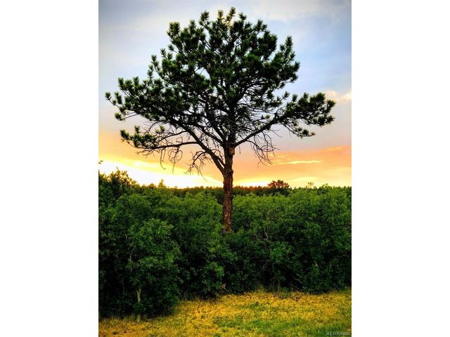 1475 Elk View Rd, Larkspur, CO 80118