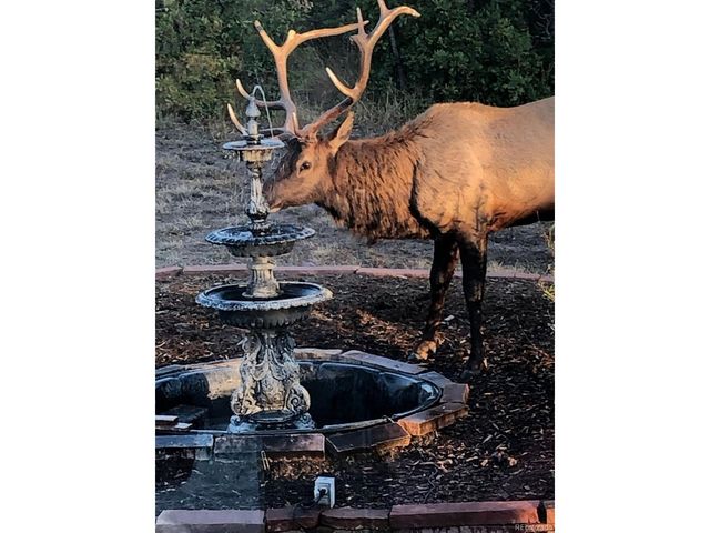 1475 Elk View Rd, Larkspur, CO 80118