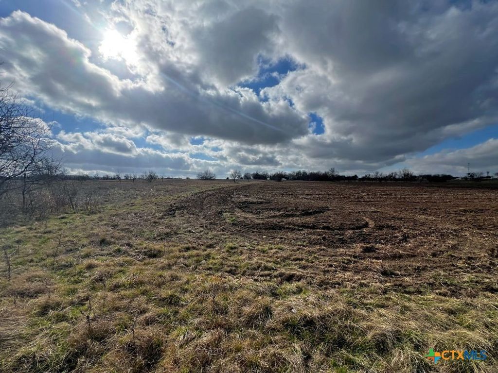 Image 10 of property listing at TBD County Road 196, Georgetown, TX 78626