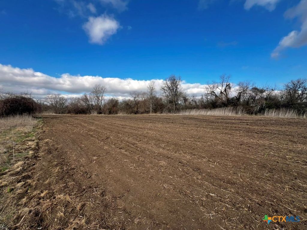 Image 11 of property listing at TBD County Road 196, Georgetown, TX 78626