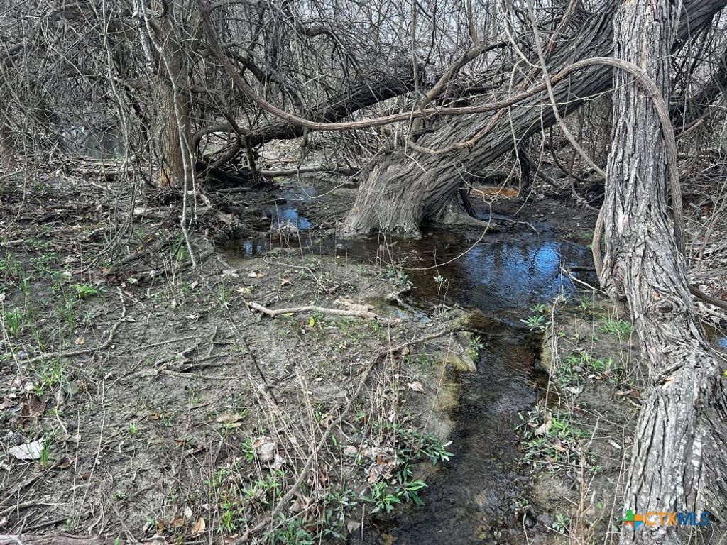 Image 12 of property listing at TBD County Road 196, Georgetown, TX 78626