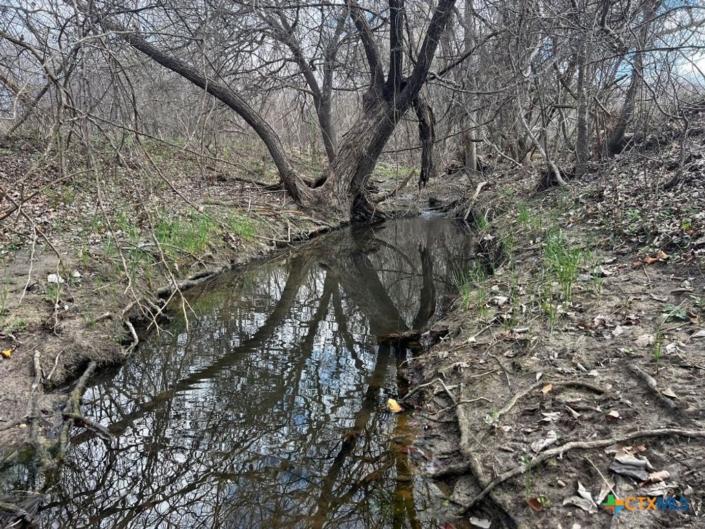 Image 13 of property listing at TBD County Road 196, Georgetown, TX 78626