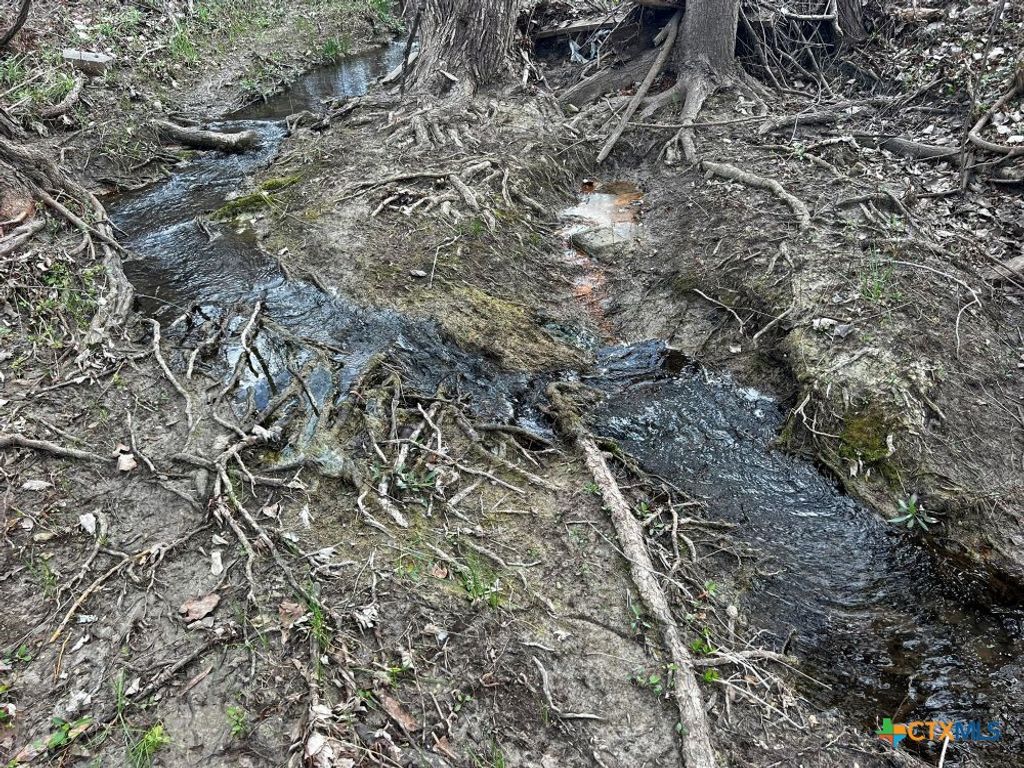 Image 14 of property listing at TBD County Road 196, Georgetown, TX 78626