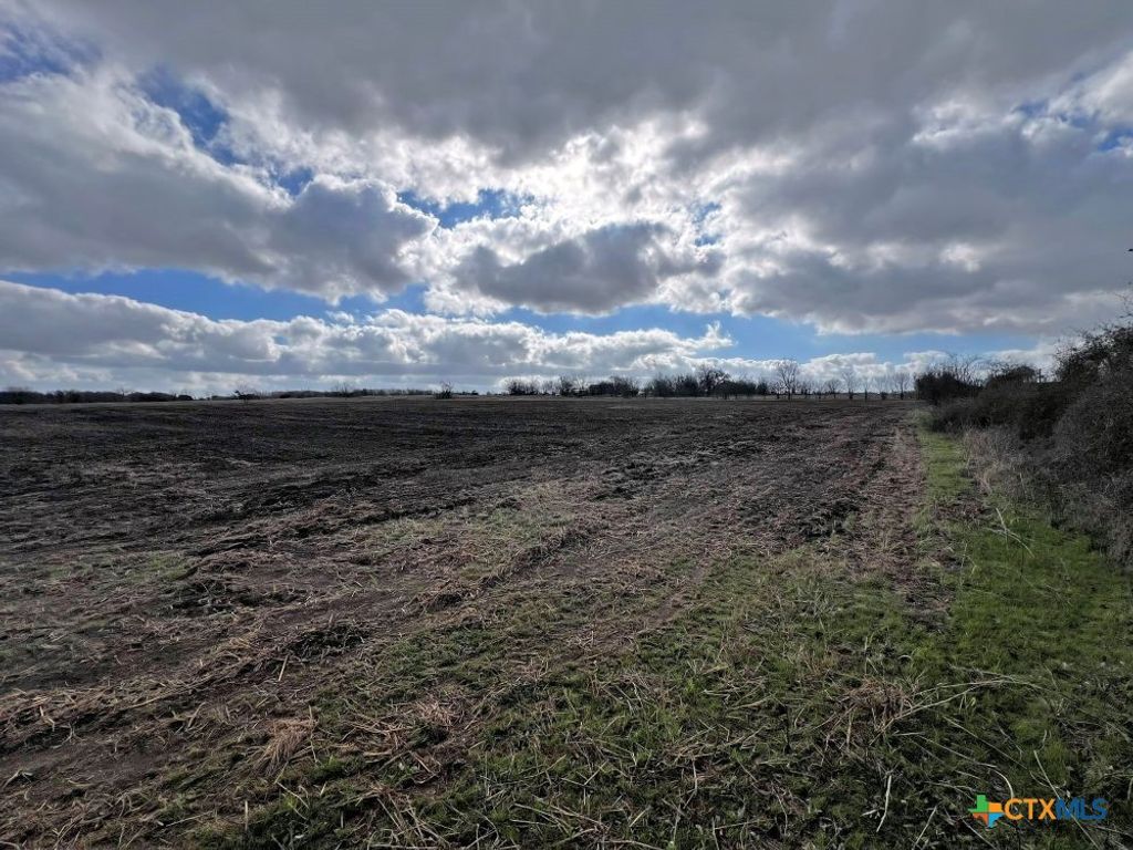 Image 16 of property listing at TBD County Road 196, Georgetown, TX 78626