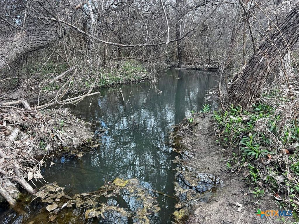 Image 4 of property listing at TBD County Road 196, Georgetown, TX 78626