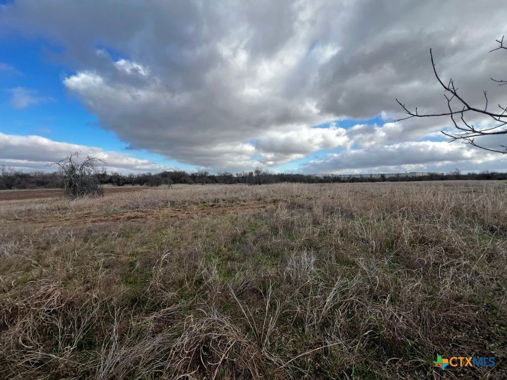 Image 7 of property listing at TBD County Road 196, Georgetown, TX 78626