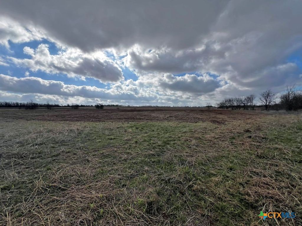 Image 8 of property listing at TBD County Road 196, Georgetown, TX 78626