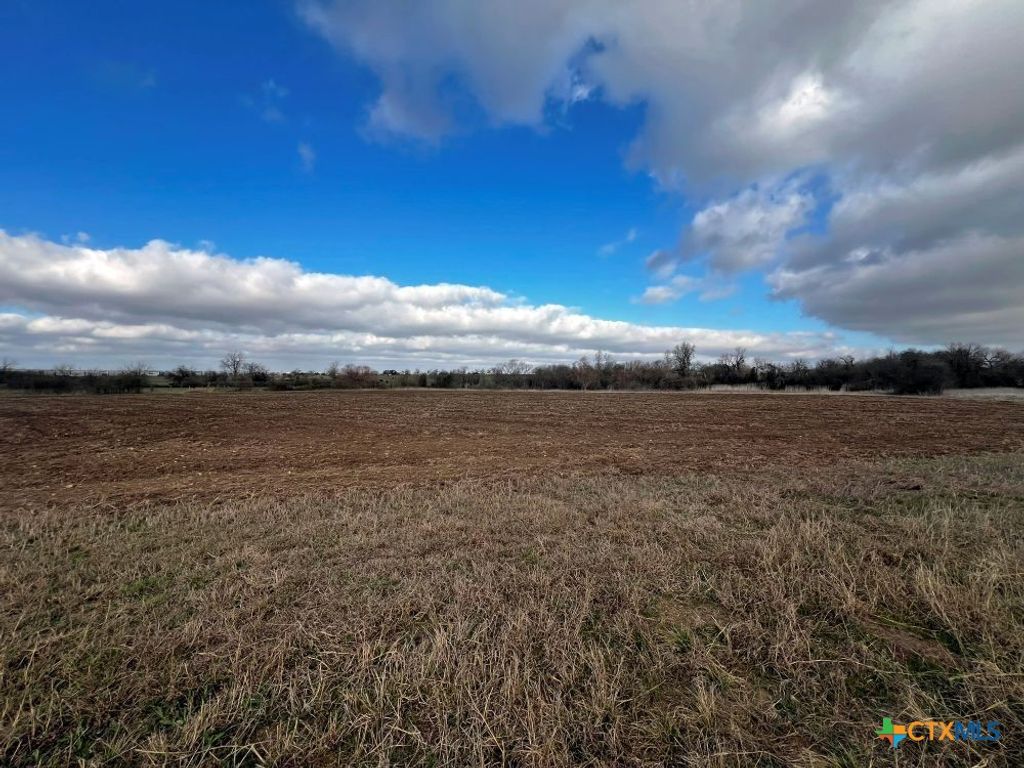 Image 9 of property listing at TBD County Road 196, Georgetown, TX 78626