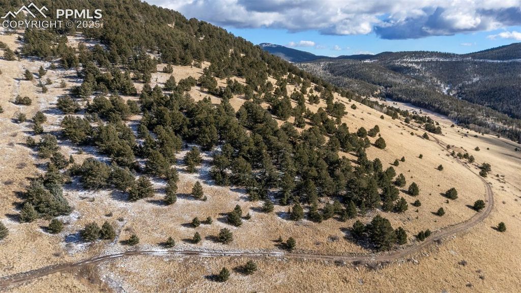 Private Road, Cripple Creek, CO 80813 — exterior