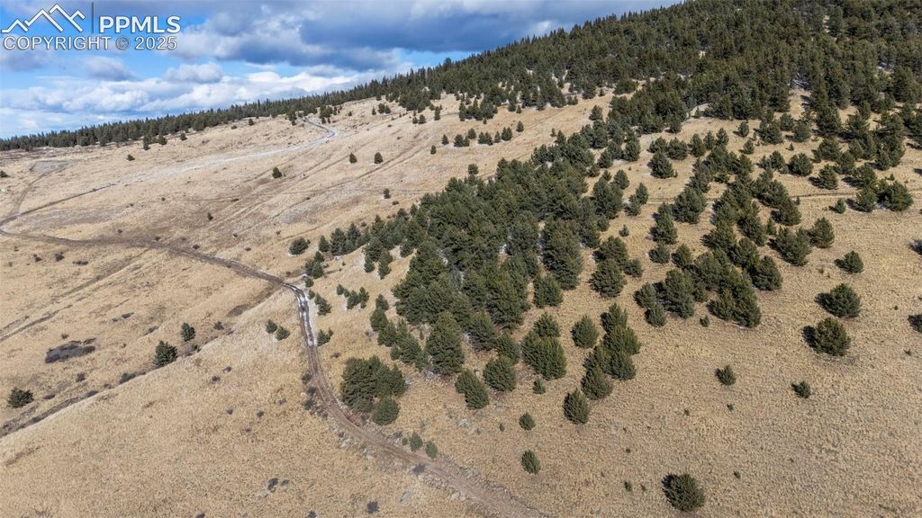 Private Road, Cripple Creek, CO 80813 — photo 2