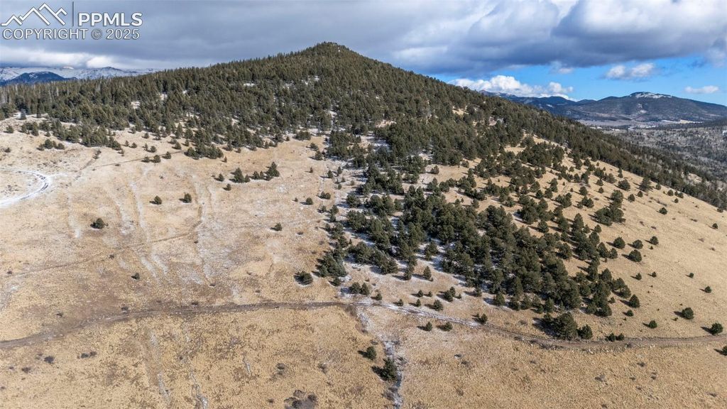 Private Road, Cripple Creek, CO 80813 — photo 3