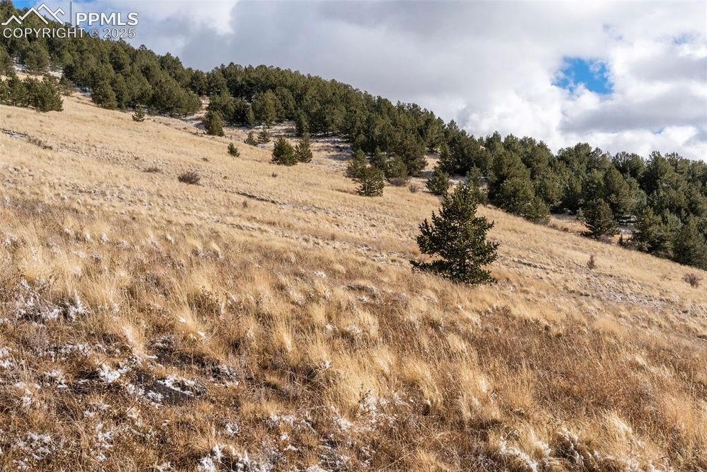 Private Road, Cripple Creek, CO 80813 — photo 5