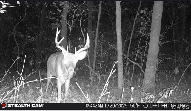 1219 Godt Road, Wright City, MO 63390