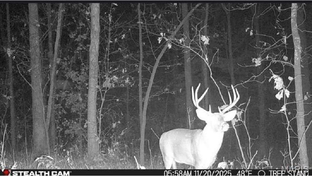 1219 Godt Road, Wright City, MO 63390