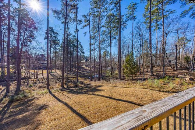 509 Links Pointe Court, Chapin, SC 29036