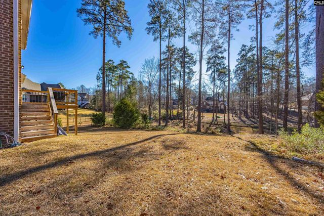 509 Links Pointe Court, Chapin, SC 29036