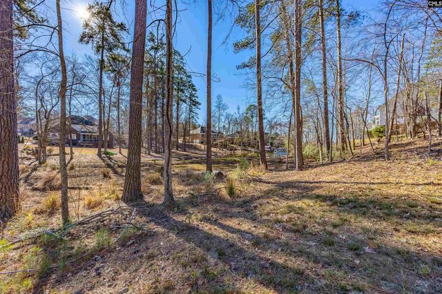 509 Links Pointe Court, Chapin, SC 29036