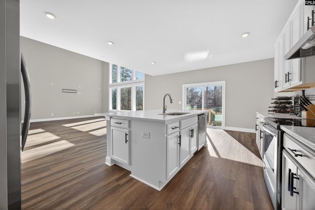 509 Links Pointe Court, Chapin, SC 29036