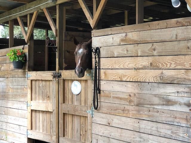 359 W D Road, Loxahatchee Groves, FL 33470