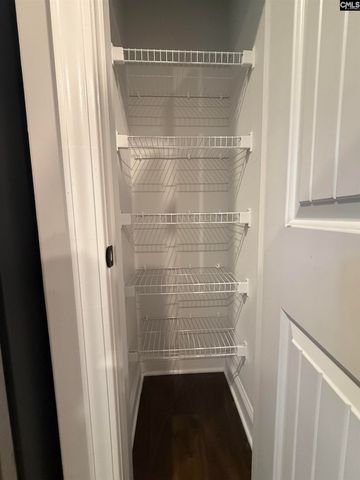 609 Crystal Creek Circle, Chapin, SC 29036