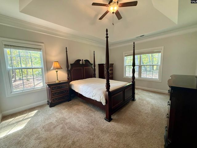 609 Crystal Creek Circle, Chapin, SC 29036