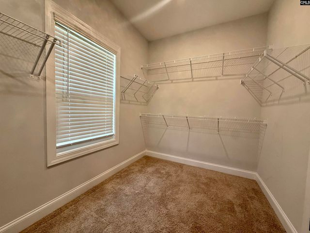 609 Crystal Creek Circle, Chapin, SC 29036