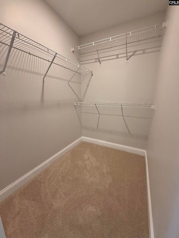 609 Crystal Creek Circle, Chapin, SC 29036