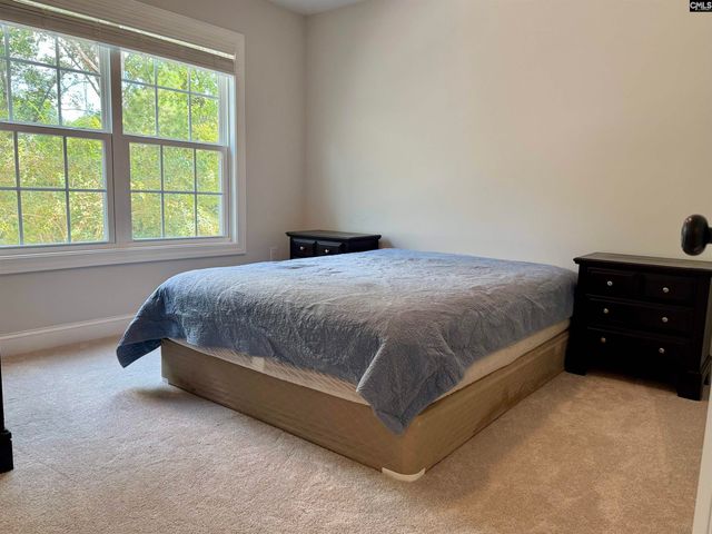 609 Crystal Creek Circle, Chapin, SC 29036