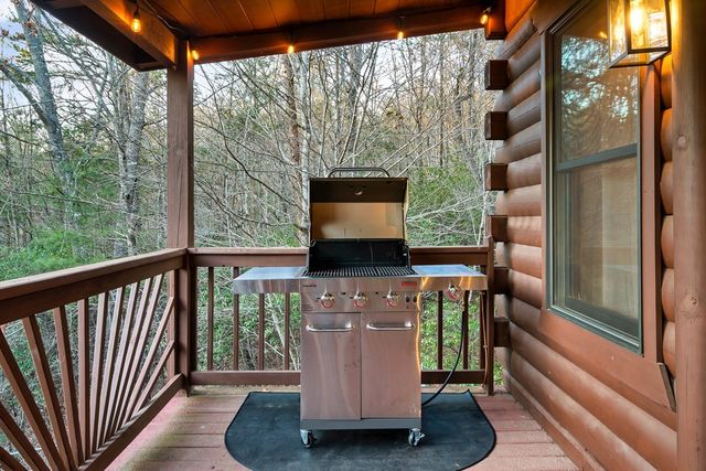 239 Ernest Alta Circle, Blue Ridge, GA 30513