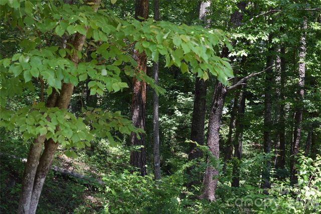 22 River Club Drive, Cullowhee, NC 28723