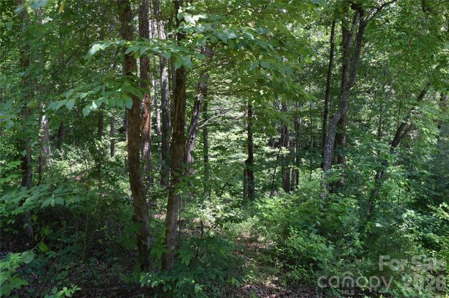 22 River Club Drive, Cullowhee, NC 28723