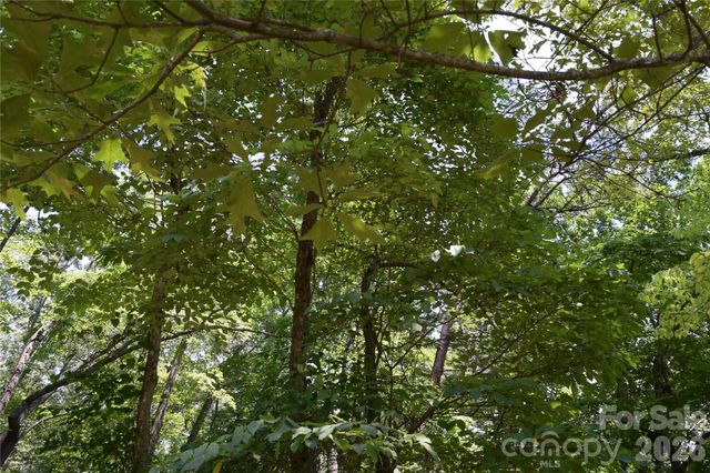 22 River Club Drive, Cullowhee, NC 28723