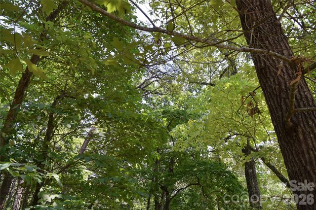 22 River Club Drive, Cullowhee, NC 28723