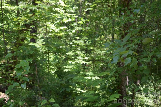 22 River Club Drive, Cullowhee, NC 28723