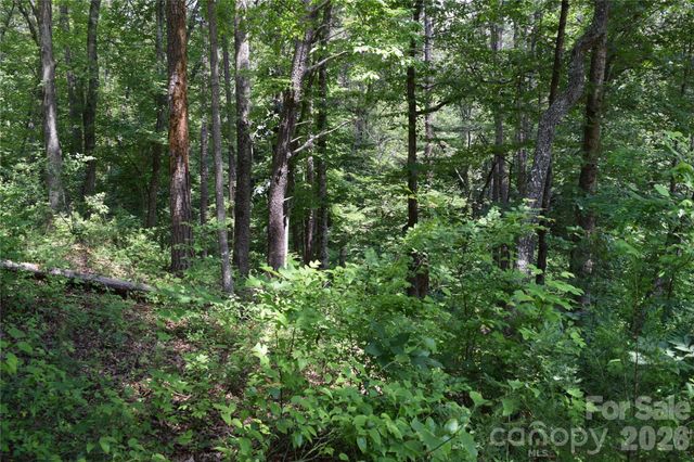 22 River Club Drive, Cullowhee, NC 28723