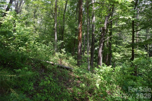 22 River Club Drive, Cullowhee, NC 28723