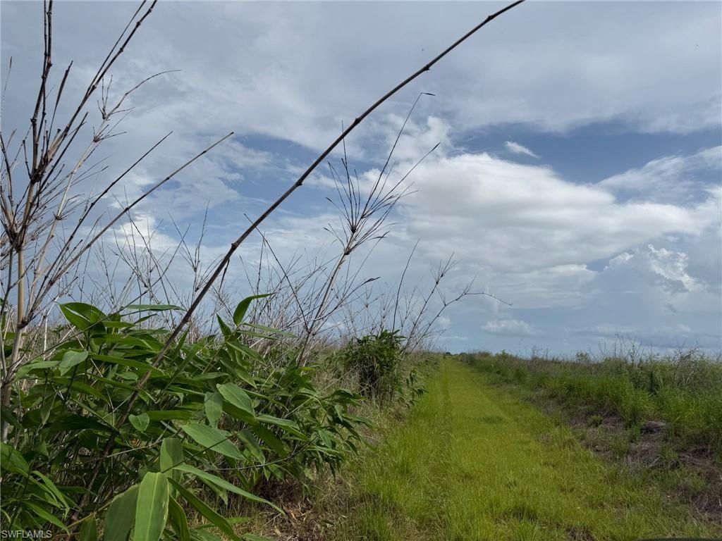 6658 + 6680 4th RD, LABELLE, FL 33935 — photo 3