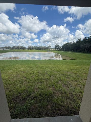 32985 TWIN FLOWER AVE, Wesley Chapel, FL 33545