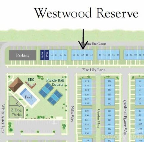 6565 Fire Lily Lane, Charlotte, NC 28216