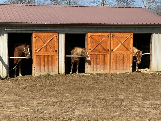 90 Denson Road, Liberty, KY 42539